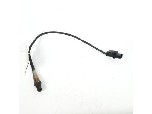 Elektronische sonde VW MULTIVAN T5 (7HM, 7HN, 7HF, 7EF, 7EM, 7EN) 2.0 TDI (140 hp) 15152479