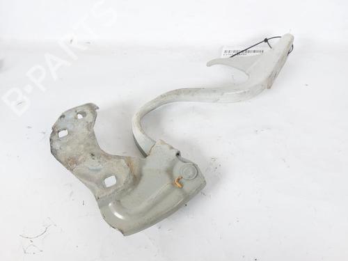 Hinge/Door check strap FIAT 500 (312_) 1.2 (312AXA1A) | BP23882012C146 