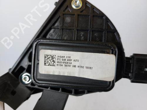 Pedal JAGUAR F-PACE (X761) 2.0 TD4 AWD | BP15156920I4