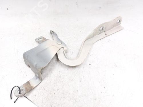 Hinge/Door check strap RENAULT CLIO IV (BH_) 1.5 dCi 75 | BP25984957C146 