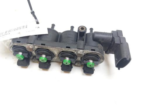 Used Injector RENAULT CLIO III (BR0/1, CR0/1) 1.2 16V Hi-Flex (BR1U, CR1U) (75 hp) 29880132