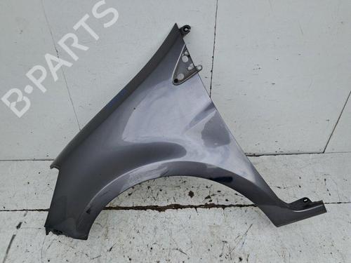 Forskærm venstre Forskærm venstre RENAULT CLIO III (BR0/1, CR0/1) 1.2 16V (BR02, BR0J, BR11, CR02, CR0J, CR11) (75 hp) 34119149 34119149