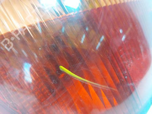 Lampa tylna lewa TOYOTA YARIS (_P1_) 1.0 (SCP10_, SCP10R) | BP30802075C34