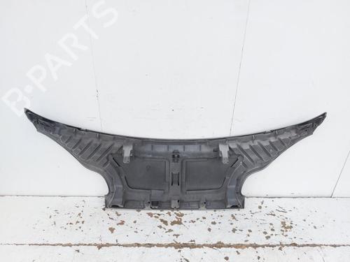 Hood SMART FORTWO Cabrio (451) 1.0 (451.431, 451.480) | BP18483329C1