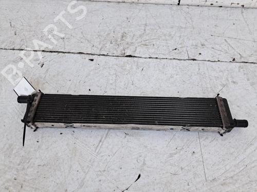 Used Water radiator RENAULT CLIO V (B7_) 1.5 Blue dCi 100 (B7AD) (101 hp) 31011329