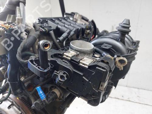 Engine FIAT PANDA (169_) 1.2 (169AXF2A, 169AXF1A) | BP33263451M1  - Image 6