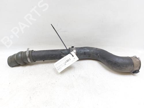 Pipe NISSAN JUKE (F15) 1.5 dCi 144601KB3A 144601KB3A