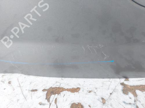 Tailgate HYUNDAI i20 I (PB, PBT) 1.2 | BP29383718C6 