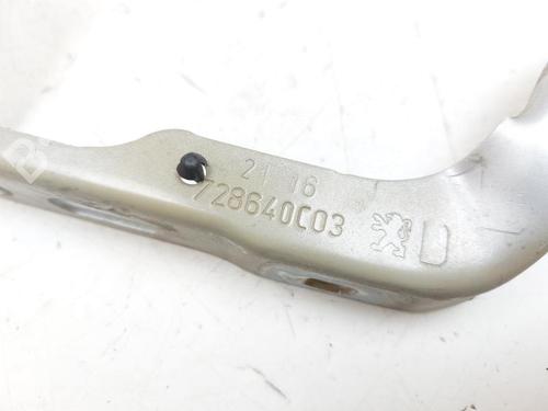 Hinge/Door check strap PEUGEOT 208 I (CA_, CC_) 1.6 BlueHDi 100 | BP27538209C146