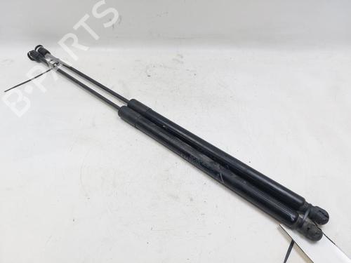 Tailgate lift support FIAT TIPO Hatchback (356_, 357_) 1.4 (356HXA1B, 357) | BP29238271C138 