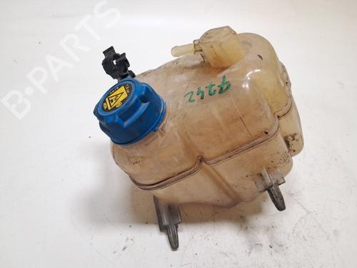 expansion-tank-fiat-panda-312_-319_-2012-36525440 main image
