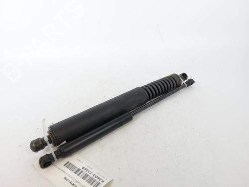 Gasdæmper bagklap VW TOUAREG (7LA, 7L6, 7L7) 5.0 V10 TDI (313 hp) 22954849