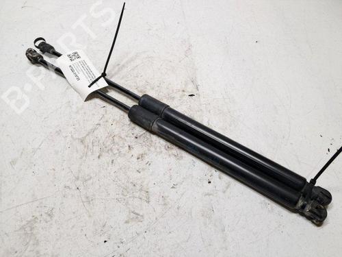 tailgate-lift-support-citroen-c3-aircross-ii-2r_-2c_-2017-34263201 main image