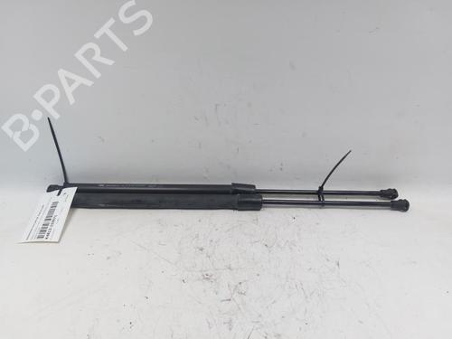 Used Tailgate lift support RENAULT SCÉNIC III (JZ0/1_) 1.6 dCi (JZ00, JZ12) (130 hp) 29523062