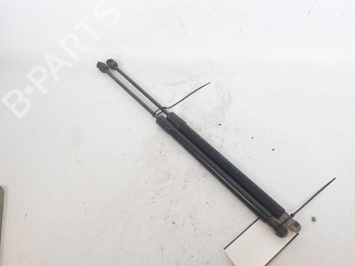 Used Tailgate lift support SKODA FABIA II (542) 1.2 (70 hp) 17695590