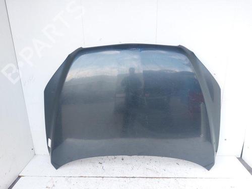 Used Hood Hood TOYOTA RAV 4 III (_A3_) 2.2 D 4WD (ALA30_, ALA30R) (177 hp) 33422225 33422225