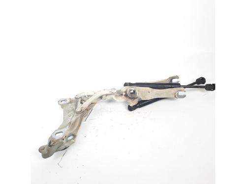 Hinge/Door check strap MINI MINI (R56) One | BP15153184C146 