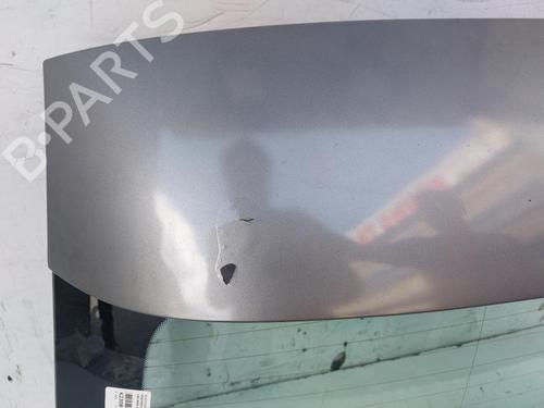 Tailgate BMW 3 Touring (E91) 318 d | BP15160713C6 