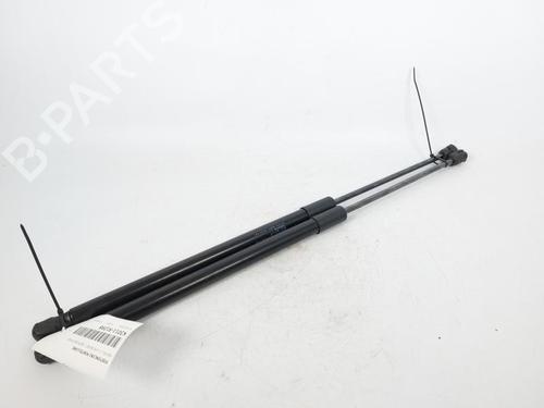 BP17203394C138 main image