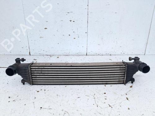Used Intercooler Intercooler FIAT 500L (351_, 352_) 1.3 D Multijet (199LXY1A, 199LXY11) (84 hp) 33616420 33616420