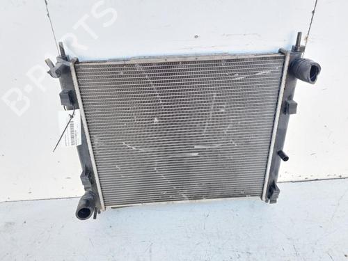 Used Water radiator NISSAN JUKE (F15) 1.5 dCi (110 hp) 30802023