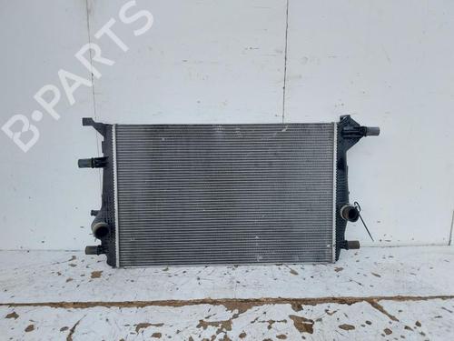 Used Water radiator RENAULT SCÉNIC III (JZ0/1_) 1.6 dCi (JZ00, JZ12) (130 hp) 29523058