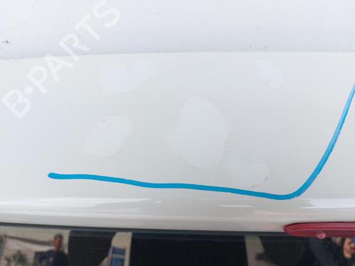 Tailgate FIAT GRANDE PUNTO (199_) 1.3 D Multijet | BP29854507C6