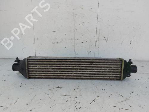 Intercooler OPEL COMBO Box Body/MPV (X12) 1.6 CDTI (B05) | BP19124741M30