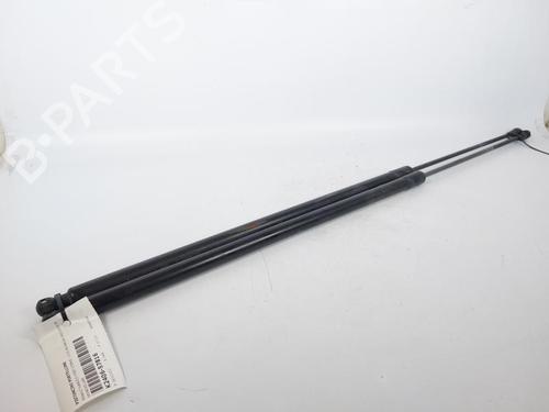 Used Tailgate lift support RENAULT KANGOO BE BOP (KW0/1_) 1.5 dCi (KW0G) (90 hp) 15163227