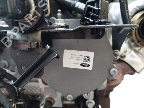 Engine FORD TRANSIT V363 Van (FCD, FDD) 2.0 EcoBlue | BP35775563M1 - Image 5