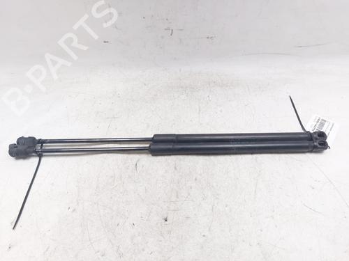 Tailgate lift support MERCEDES-BENZ A-CLASS (W169) A 200 CDI (169.008, 169.308) | BP26901064C138 