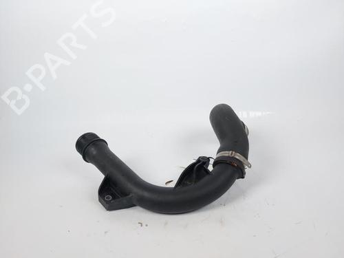 Pipe DACIA SANDERO II 1.0 LPG (B8ML) | BP17206083M125
