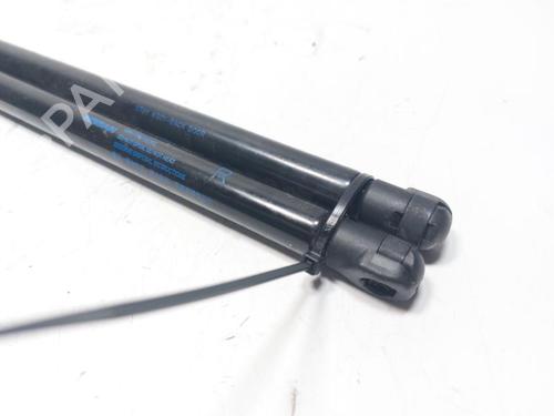 Tailgate lift support NISSAN JUKE (F16_) 1.6 Hybrid | BP30802655C138