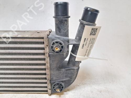 Intercooler FIAT PANDA (169_) 1.3 D Multijet 4x4 (169.AXC2A) | BP40215589M30 - Image 3