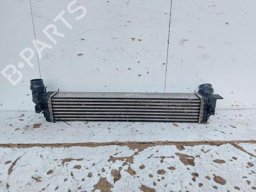 Intercooler RENAULT SCÉNIC III (JZ0/1_) 1.6 dCi (JZ00, JZ12) | BP29523059M30 