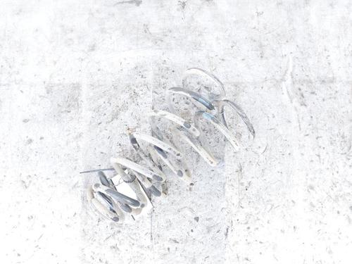 Shock absorber spring NISSAN QASHQAI II (J11, J11_) 1.5 dCi | BP24953711C152