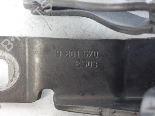 Hinge/Door check strap MINI MINI COUNTRYMAN (R60) Cooper D | BP15164700C146 