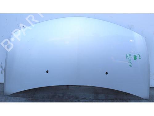 Used Hood RENAULT CLIO III (BR0/1, CR0/1) 1.5 dCi (BR17, CR17) (86 hp) 15145380