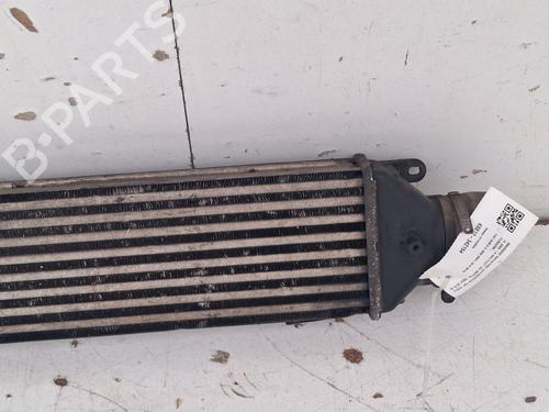 Intercooler FIAT DOBLO Cargo (263_) 1.6 D Multijet (263WXD1B, 263WXR1B, 263WXX1B, 263ZXD1B,... | BP39767118M30 - Image 3