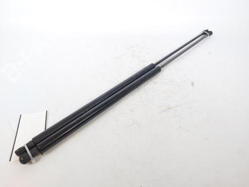 Used Tailgate lift support NISSAN JUKE (F15) 1.6 (117 hp) 15172216