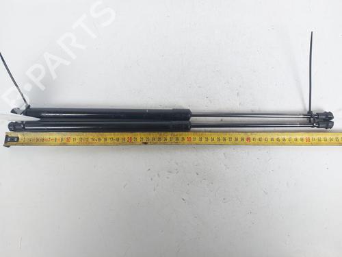 Used Tailgate lift support NISSAN X-TRAIL I (T30) [2001-2013]  31668483