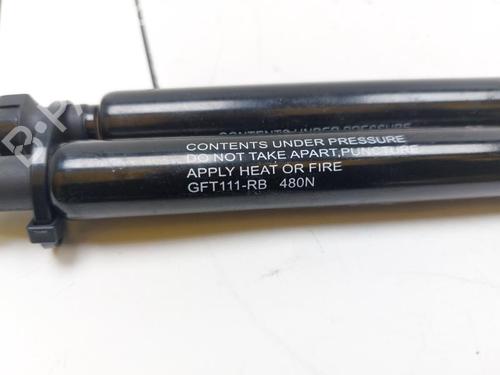 Tailgate lift support FIAT IDEA (350_) 1.2 16V | BP29746353C138