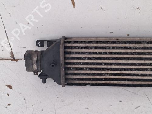 Intercooler FIAT DOBLO Cargo (263_) 1.6 D Multijet (263WXD1B, 263WXR1B, 263WXX1B, 263ZXD1B,... | BP39767118M30 - Image 2