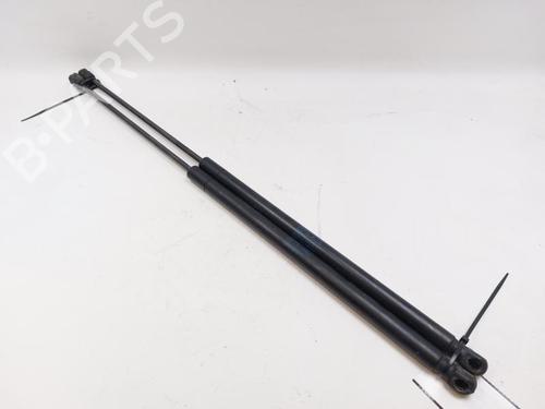 Tailgate lift support CITROËN C4 Picasso I MPV (UD_) 2.0 HDi 138 | BP28838018C138 