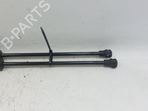 Tailgate lift support RENAULT SCÉNIC III (JZ0/1_) 1.6 dCi (JZ00, JZ12) | BP29523062C138 