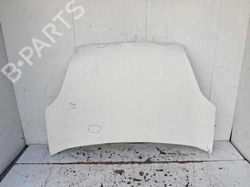 hood-fiat-doblo-cargo-263_-2010-39738865 main image