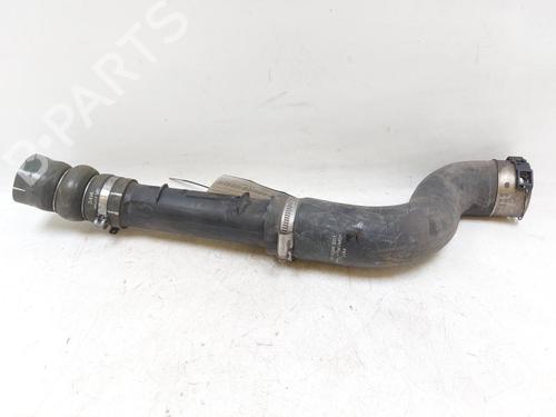 Pipe NISSAN JUKE (F15) 1.5 dCi | BP29390692M125 