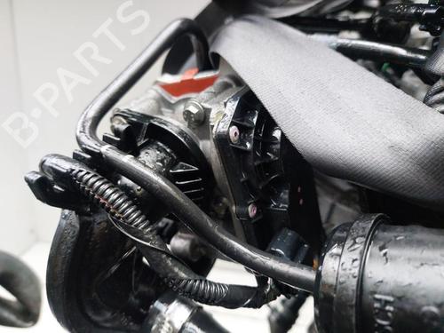 Engine RENAULT CLIO III (BR0/1, CR0/1) 1.2 16V (BR0P, CR0P) | BP30802738M1 