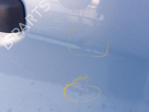 Right front door FIAT IDEA (350_) 1.2 16V | BP29746345C3 