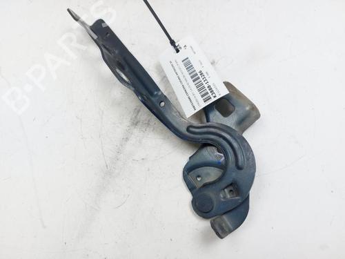 hingedoor-check-strap-citroen-c4-ii-nc_-2009-24735860 main image